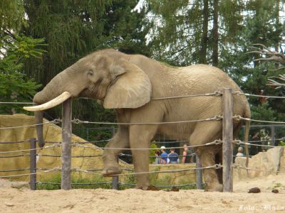 Kliknite pre zobrazenie v plnom rozlíšení