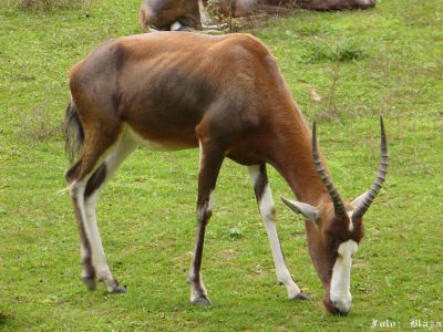 Cliquez pour voir l'image en taille réelle