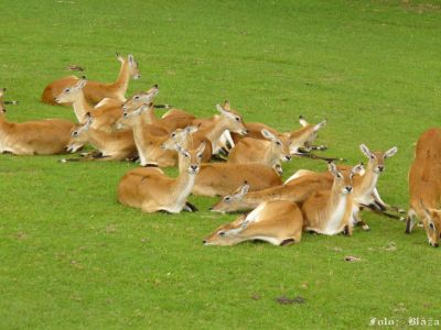 Kliknite pre zobrazenie v plnom rozlíšení