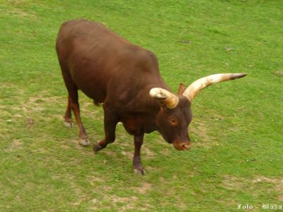 Pulsa aquí para ver la imagen a tamaño completo