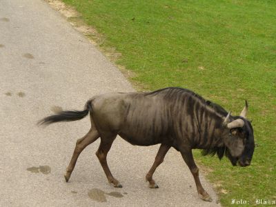 Kliknite pre zobrazenie v plnom rozlíšení