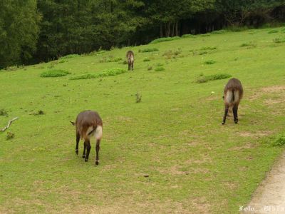 Kliknite pre zobrazenie v plnom rozlíšení
