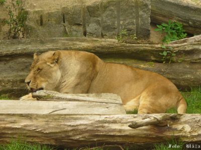 Kliknite pre zobrazenie v plnom rozlíšení