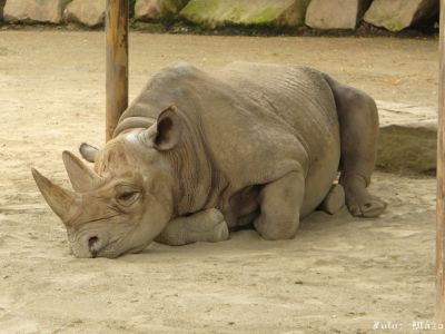 Kliknite pre zobrazenie v plnom rozlíšení