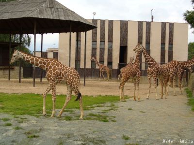 Pulsa aquí para ver la imagen a tamaño completo