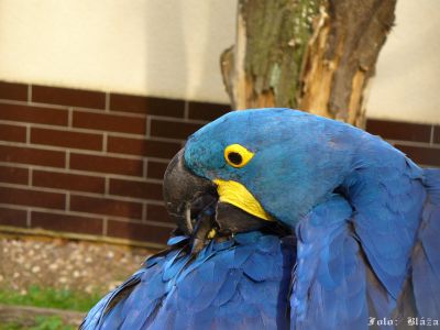 Kliknite pre zobrazenie v plnom rozlíšení