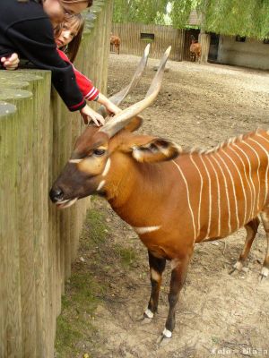 Kliknite pre zobrazenie v plnom rozlíšení