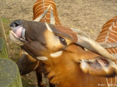 Kliknite pre zobrazenie v plnom rozlíšení