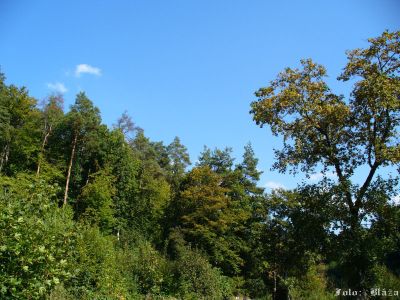 Kliknite pre zobrazenie v plnom rozlíšení