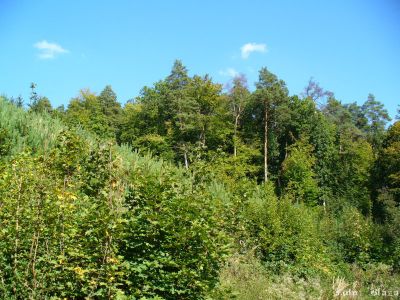 Kliknite pre zobrazenie v plnom rozlíšení