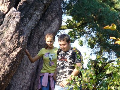 Kliknite pre zobrazenie v plnom rozlíšení