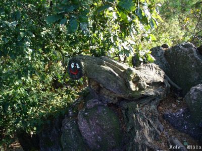 Kliknite pre zobrazenie v plnom rozlíšení