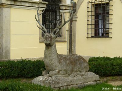 Kliknite pre zobrazenie v plnom rozlíšení