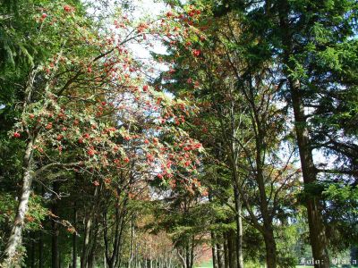 Kliknite pre zobrazenie v plnom rozlíšení