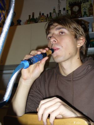 Cliquez pour voir l'image en taille réelle