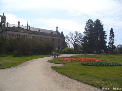 Pulsa aquí para ver la imagen a tamaño completo