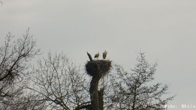 Kliknite pre zobrazenie v plnom rozlíšení