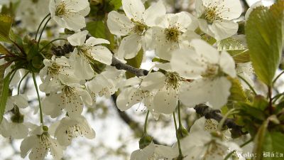 Pulsa aquí para ver la imagen a tamaño completo