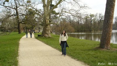 Kliknite pre zobrazenie v plnom rozlíšení