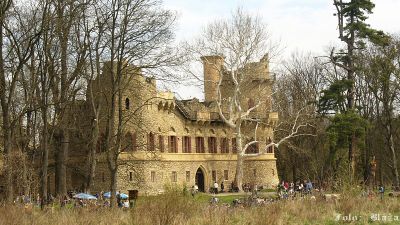 Click to view full size image