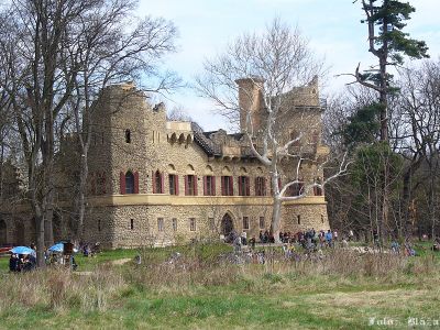 Click to view full size image