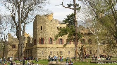 Click to view full size image