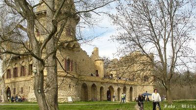 Click to view full size image