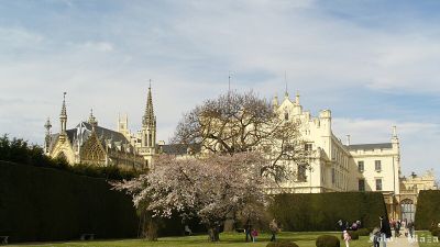 Pulsa aquí para ver la imagen a tamaño completo