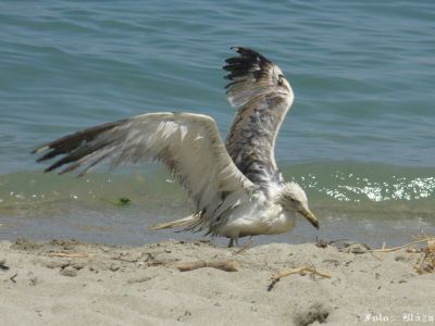 Kliknite pre zobrazenie v plnom rozlíšení