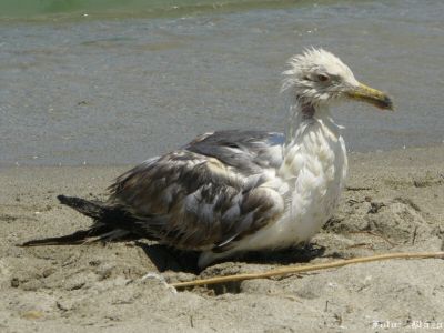 Kliknite pre zobrazenie v plnom rozlíšení