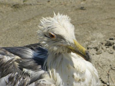 Klikněte pro zobrazení původního obrázku