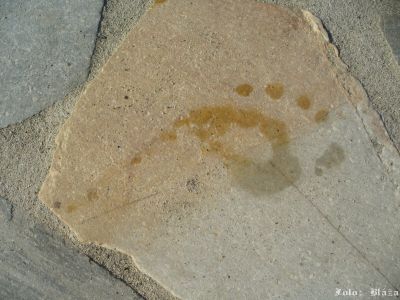 Kliknite pre zobrazenie v plnom rozlíšení