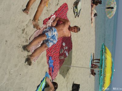 Klicken für Bild in voller Größe