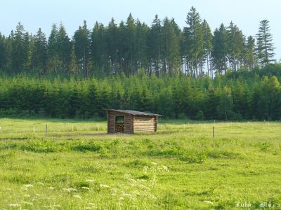 Cliquez pour voir l'image en taille réelle