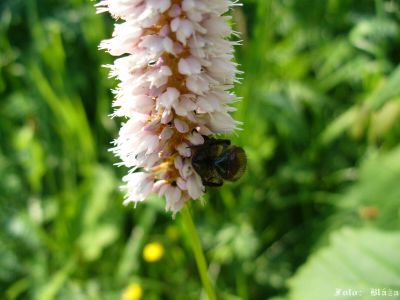 Kliknite pre zobrazenie v plnom rozlíšení