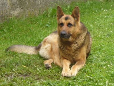 Kliknite pre zobrazenie v plnom rozlíšení