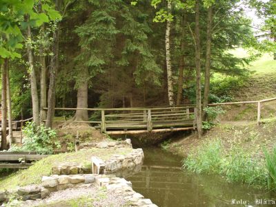 Cliquez pour voir l'image en taille réelle