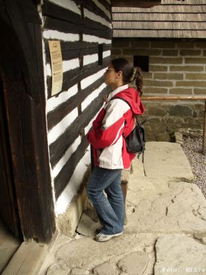 Klikněte pro zobrazení původního obrázku