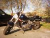 Motorky_072.jpg